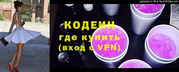 сатива Новозыбков