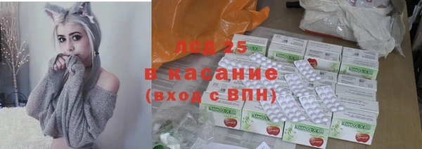 спиды Новодвинск