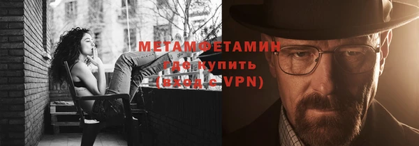сатива Новозыбков