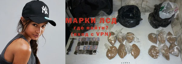 спиды Новодвинск
