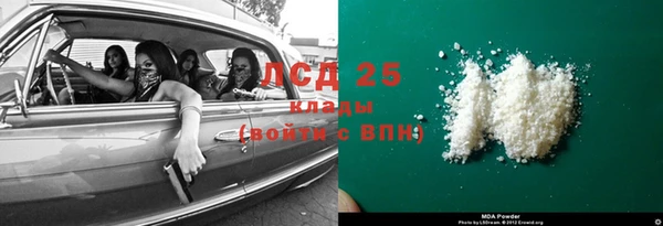 сатива Новозыбков