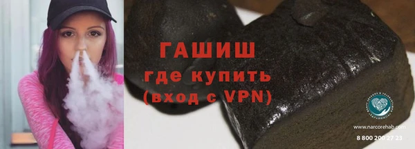 сатива Новозыбков