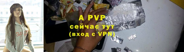 крисы Тында