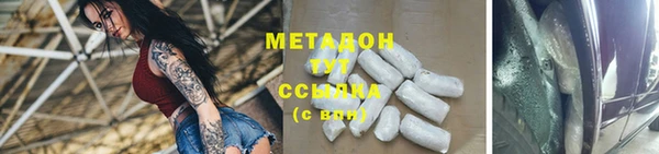 сатива Новозыбков