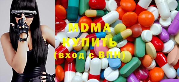 сатива Новозыбков