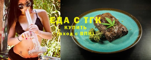 сатива Новозыбков