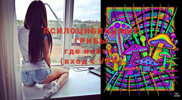 спиды Новодвинск