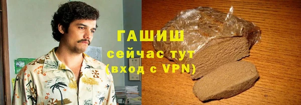 сатива Новозыбков
