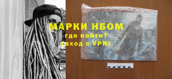 сатива Новозыбков