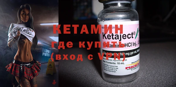 сатива Новозыбков