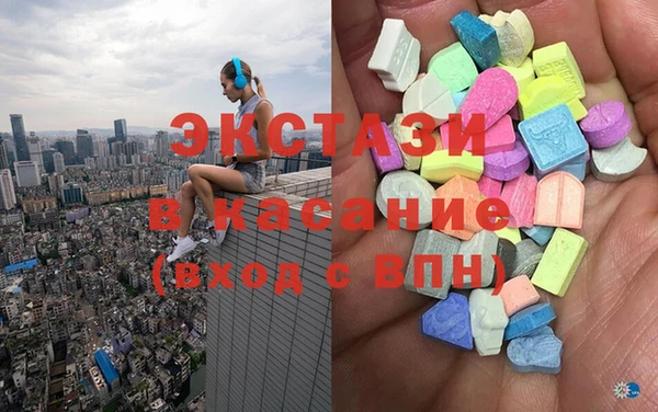сатива Новозыбков
