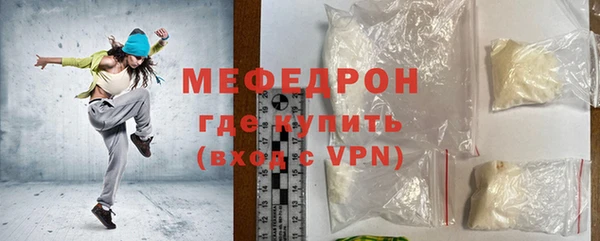 сатива Новозыбков