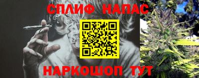 гидра Апрелевка