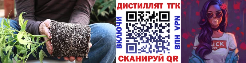 kraken tor  Краснокамск  ТГК вейп с тгк 