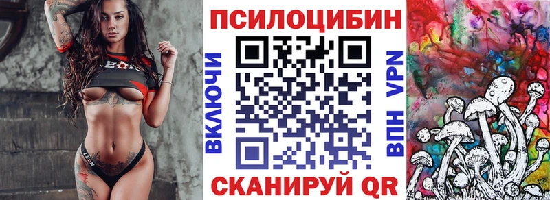 Галлюциногенные грибы Psilocybine cubensis  Краснокамск 