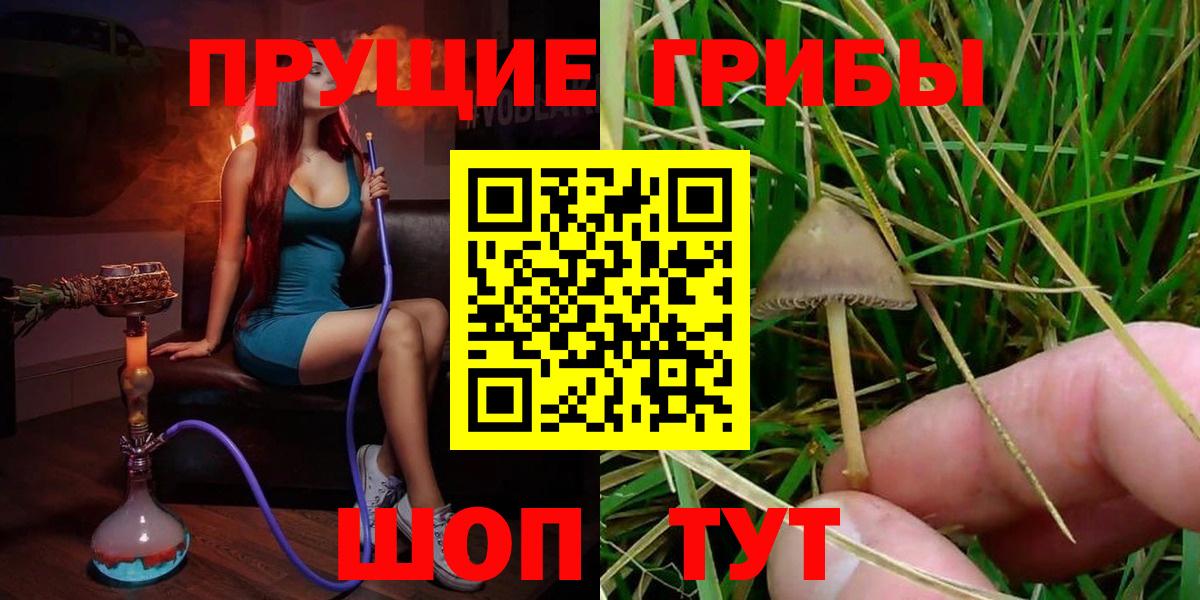 Краснокамск  Галлюциногенные грибы мицелий  Вход с VPN  цена   Галлюциногенные грибы Psilocybine cubensis 