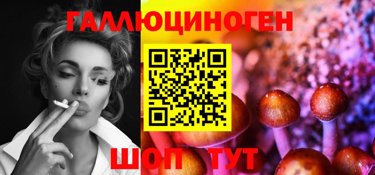 Галлюциногенные грибы Psilocybe Краснокамск
